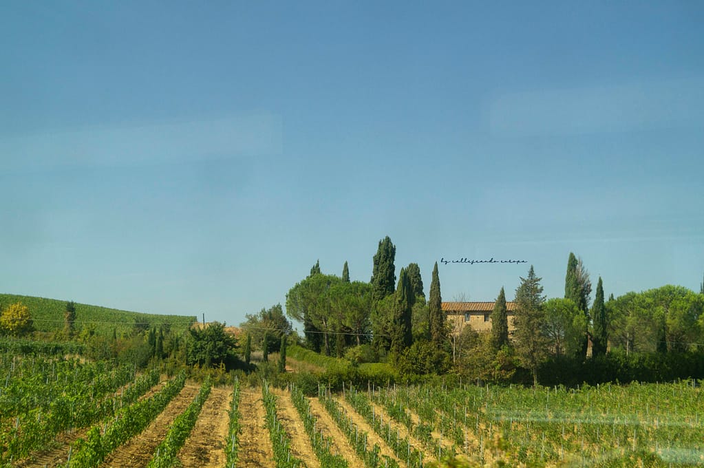 PAISAJE DE LA TOSCANA EN NUESTRA RUTA EN TREN