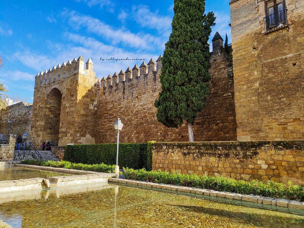 PUERTA DE ALMODOVAR