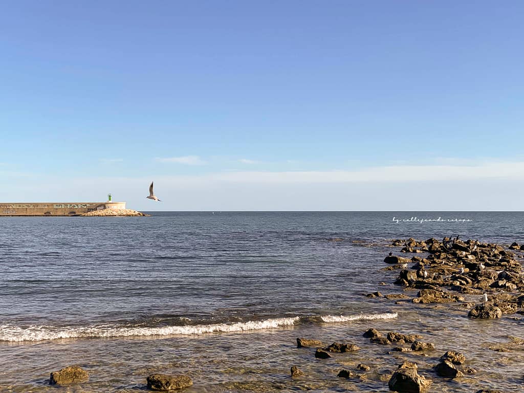 PANORÁMICA PUERTO DE BENICARLÓ